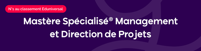 Mastère Spécialisé® Management et Direction de Projets